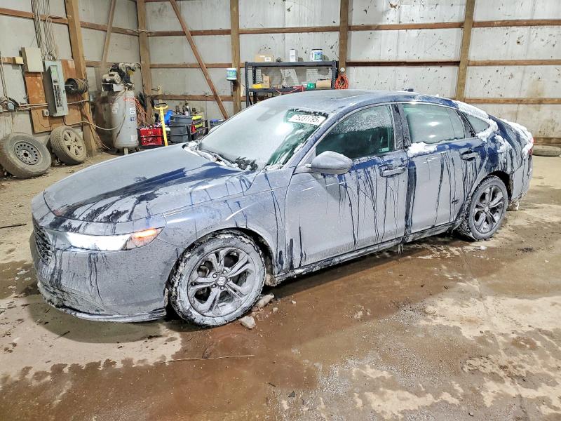 2024 HONDA ACCORD — VIN 1HGCY1F3XRA002523