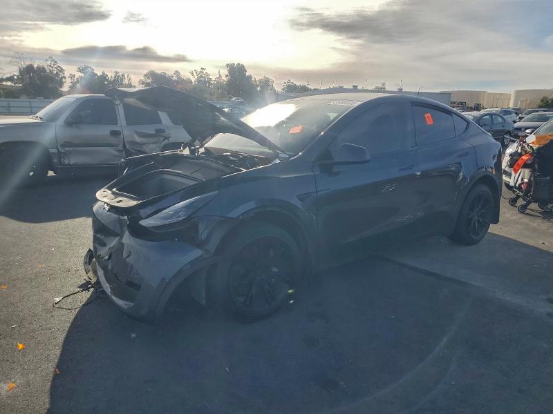2024 TESLA MODEL Y — VIN 7SAYGDEE6RA233289