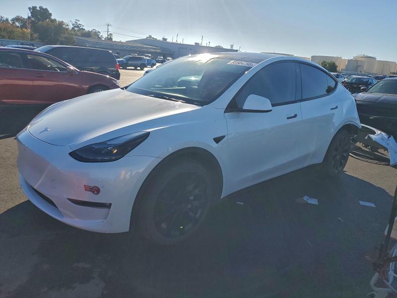 2023 TESLA MODEL Y — VIN 7SAYGAEEXPF622838