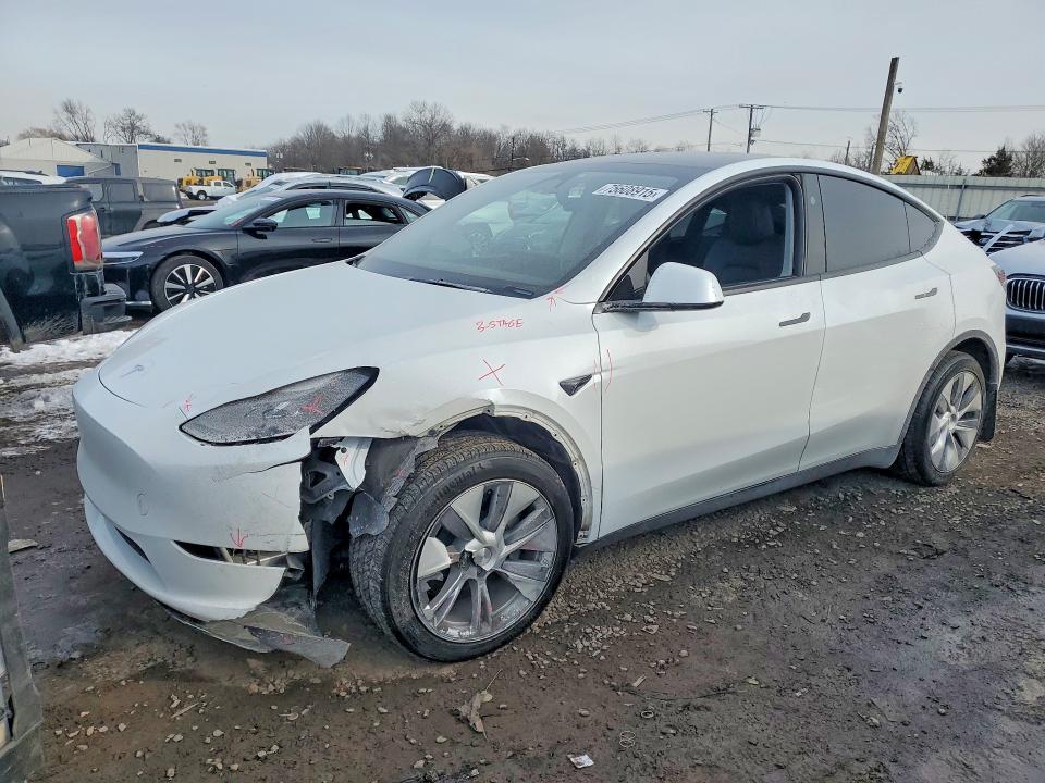 2023 TESLA MODEL Y — VIN 7SAYGDEDXPF932383