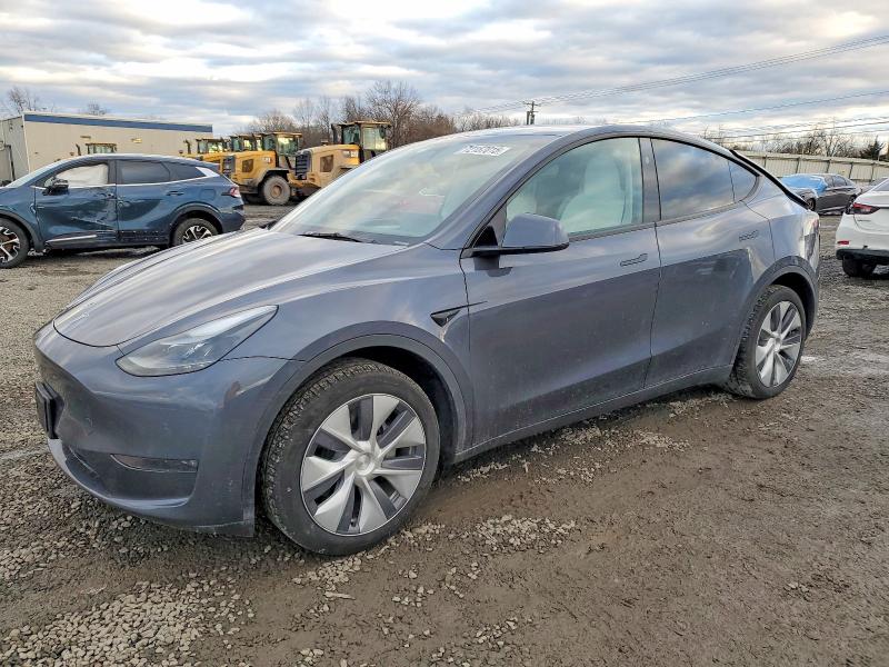 2023 TESLA MODEL Y — VIN 7SAYGDEE5PA170814