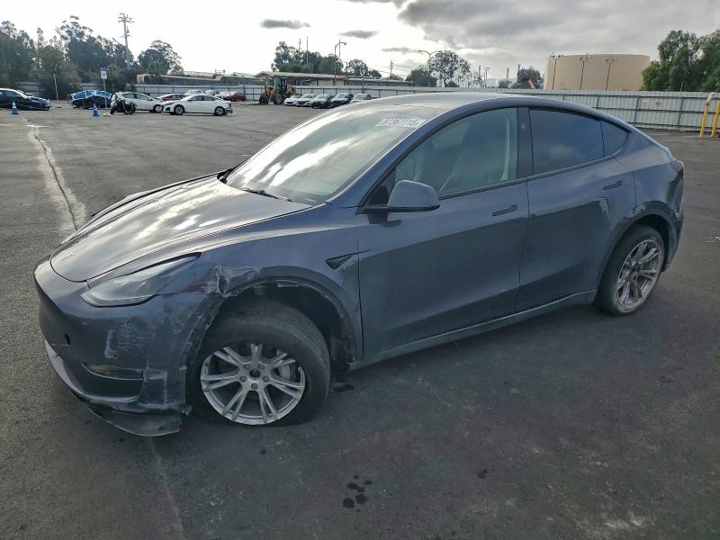 2023 TESLA MODEL Y — VIN 7SAYGDEE9PF878406