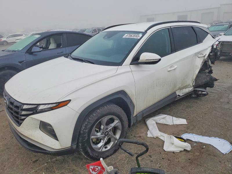 2023 HYUNDAI TUCSON — VIN 5NMJBCAE9PH249711