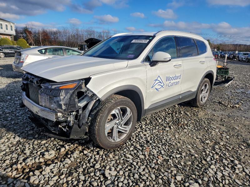 2023 HYUNDAI SANTA FE — VIN 5NMS2DAJ0PH600528