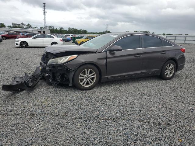 5NPE24AF9FH175529