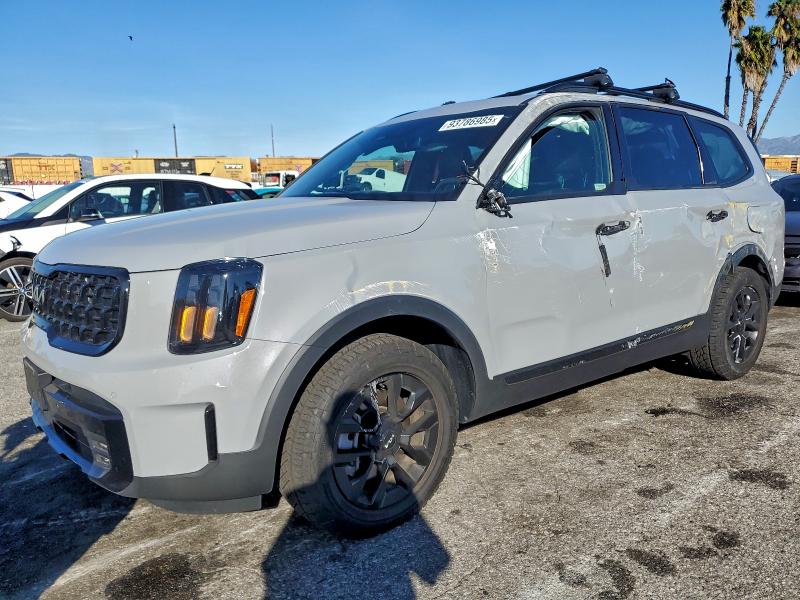 2024 KIA TELLURIDE — VIN 5XYP5DGC9RG537822