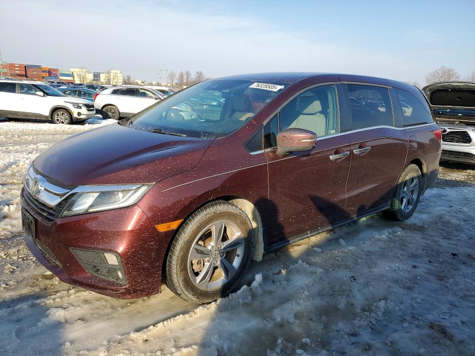 2019 HONDA ODYSSEY — VIN 5FNRL6H51KB134781