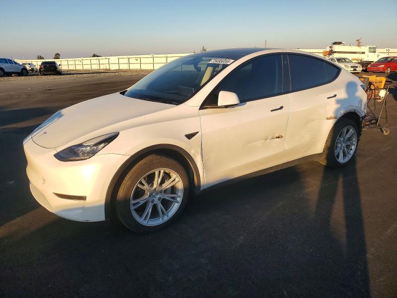 2023 TESLA MODEL Y — VIN 7SAYGDEE3PF600178