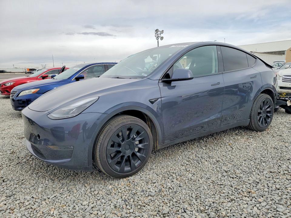 2023 TESLA MODEL Y — VIN 7SAYGDEE5PA204735