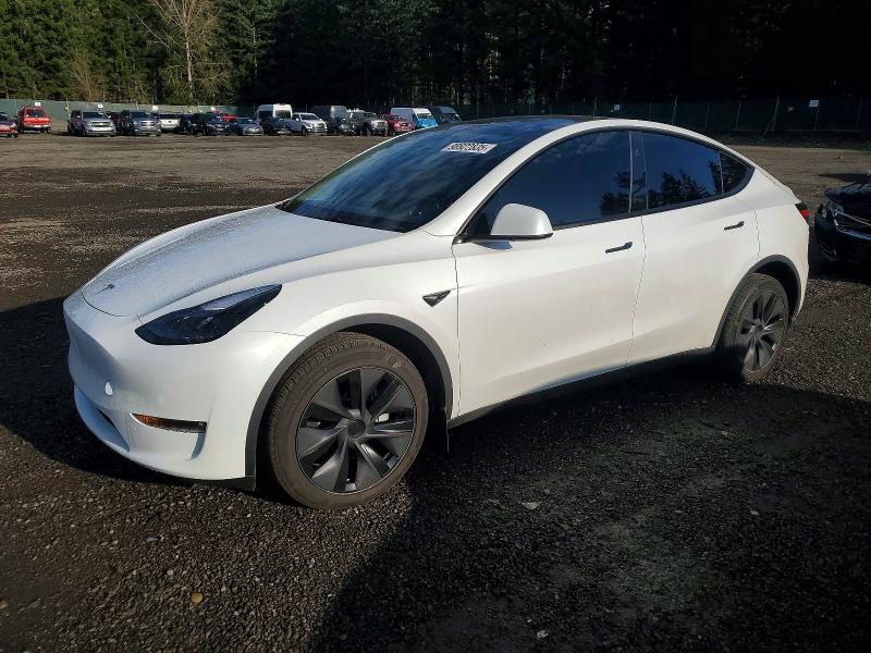 2025 TESLA MODEL Y — VIN 7SAYGAEE8SF266785