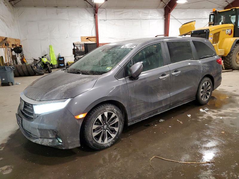 2024 HONDA ODYSSEY — VIN 5FNRL6H64RB074921