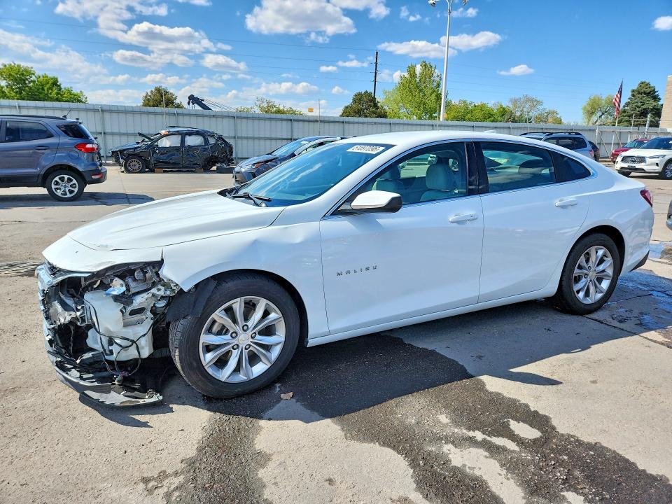 2019 CHEVROLET MALIBU — VIN 1G1ZD5ST6KF113377