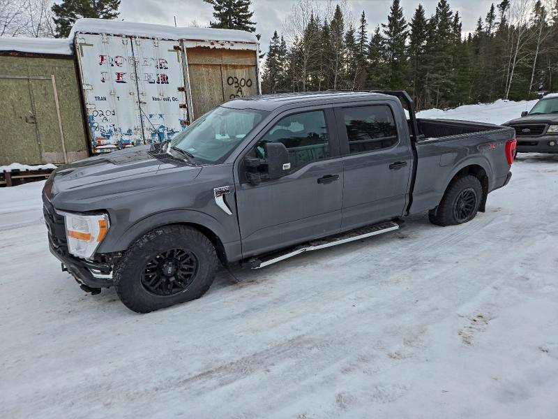 2023 FORD F150 — VIN 1FTFW1E83PKF65841