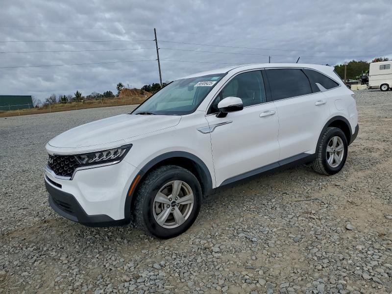 2023 KIA SORENTO LX — VIN 5XYRGDLC9PG167624