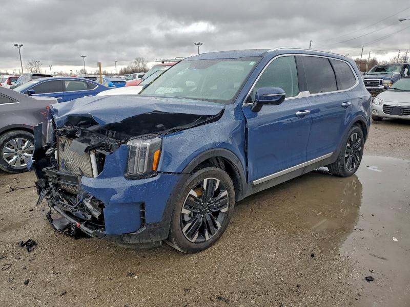 2024 KIA TELLURIDE — VIN 5XYP5DGC1RG488101