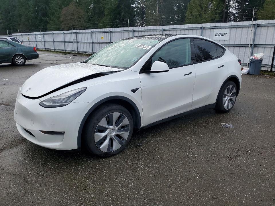 2021 TESLA MODEL Y — VIN 5YJYGDEE8MF117066