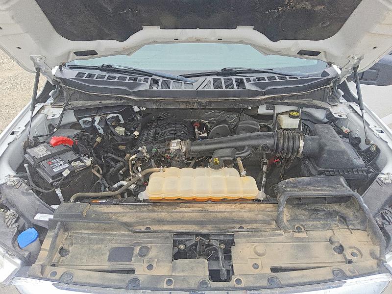 1FTEW1CB9MKE66091