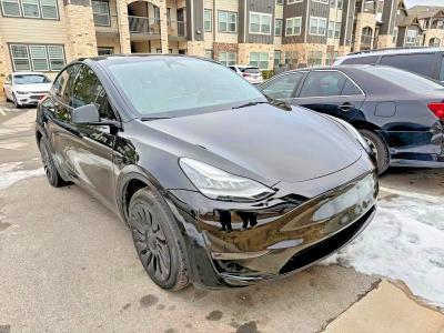 2023 TESLA MODEL Y — VIN 7SAYGDEE9PA145091