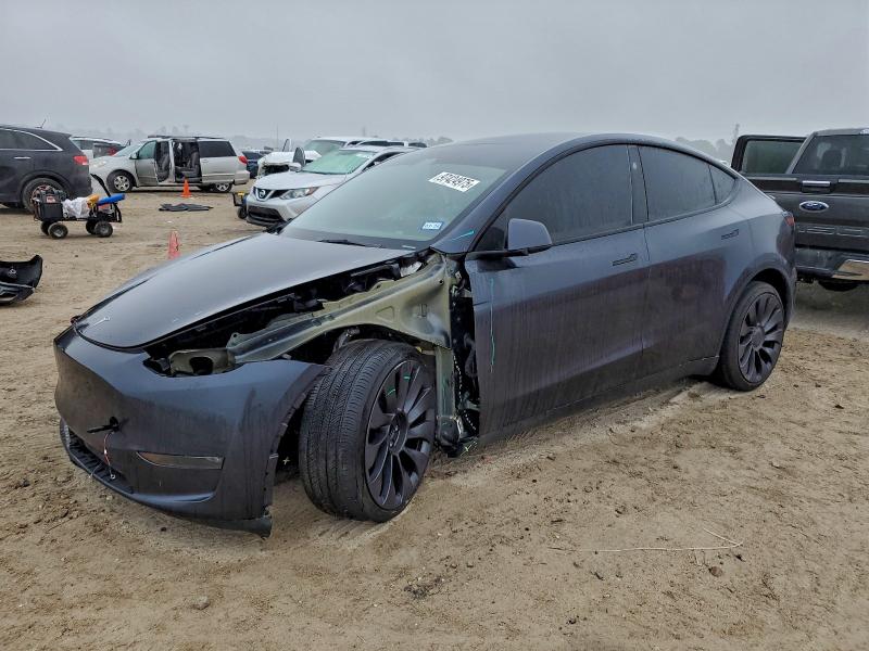 2025 TESLA MODEL Y — VIN 7SAYGDEF0SA374549