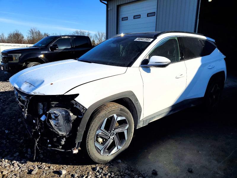 2024 HYUNDAI TUCSON LIM — VIN KM8JECD19RU149566