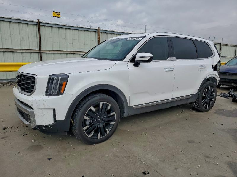 2024 KIA TELLURIDE — VIN 5XYP5DGC5RG511251