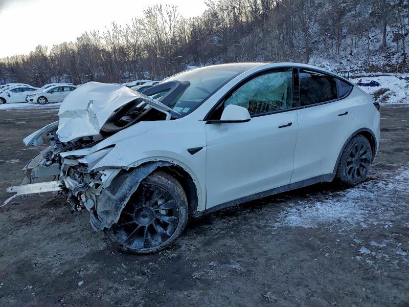 2021 TESLA MODEL Y — VIN 5YJYGDEE3MF207242