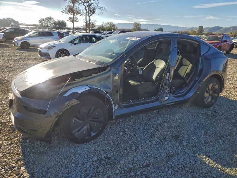 2026 TESLA MODEL Y — VIN 7SAYGDED1TF374269