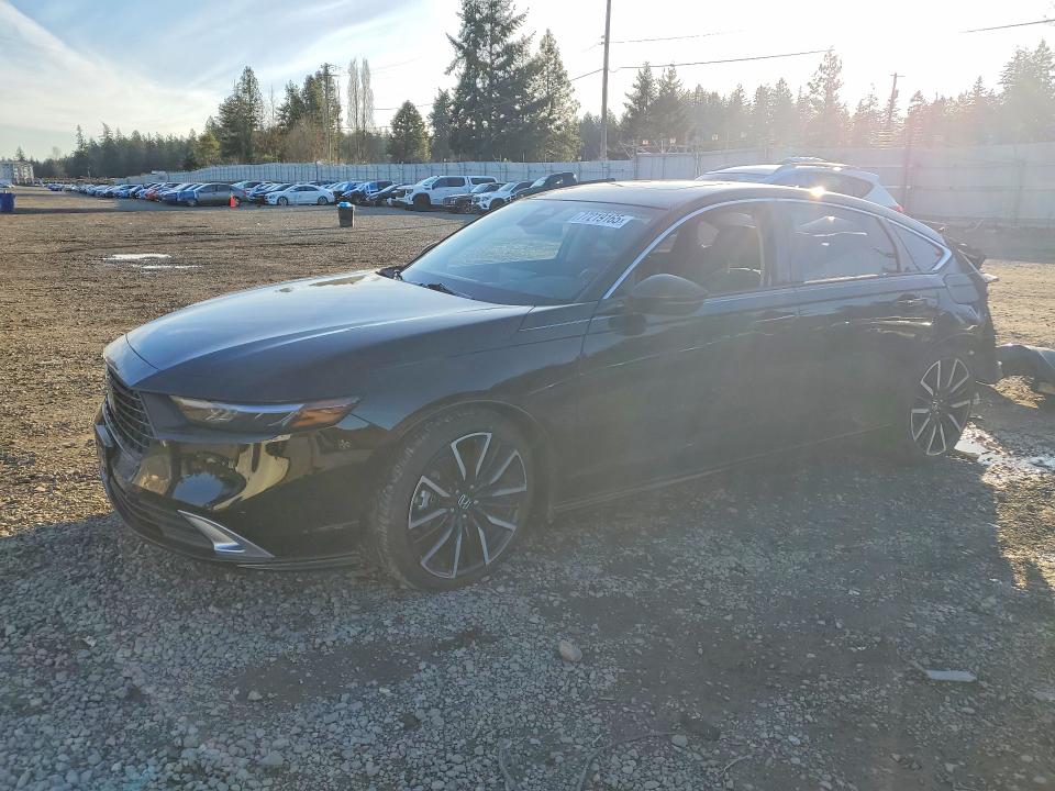 2024 HONDA ACCORD — VIN 1HGCY2F82RA044430