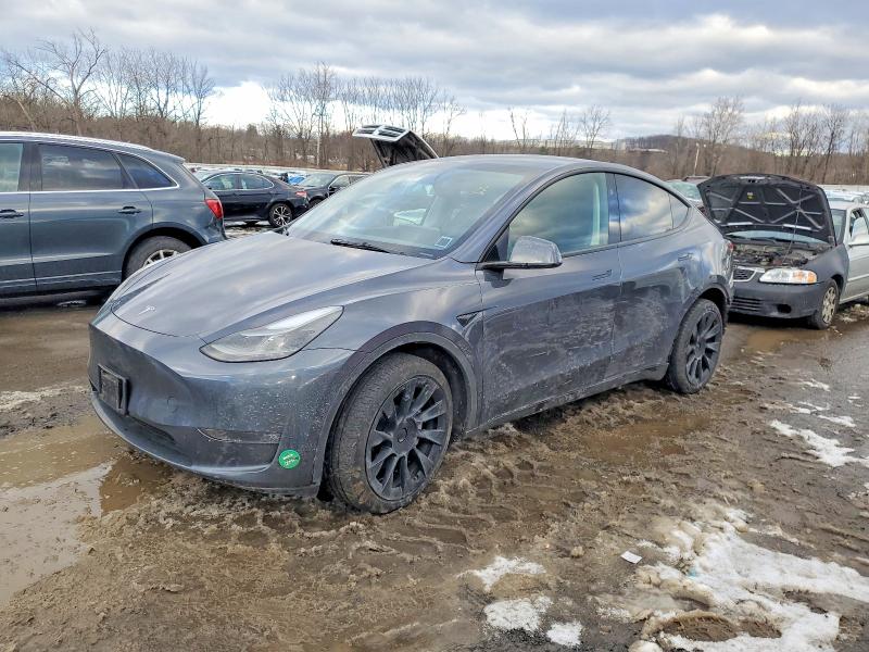 2023 TESLA MODEL Y — VIN 7SAYGDEE8PF862410