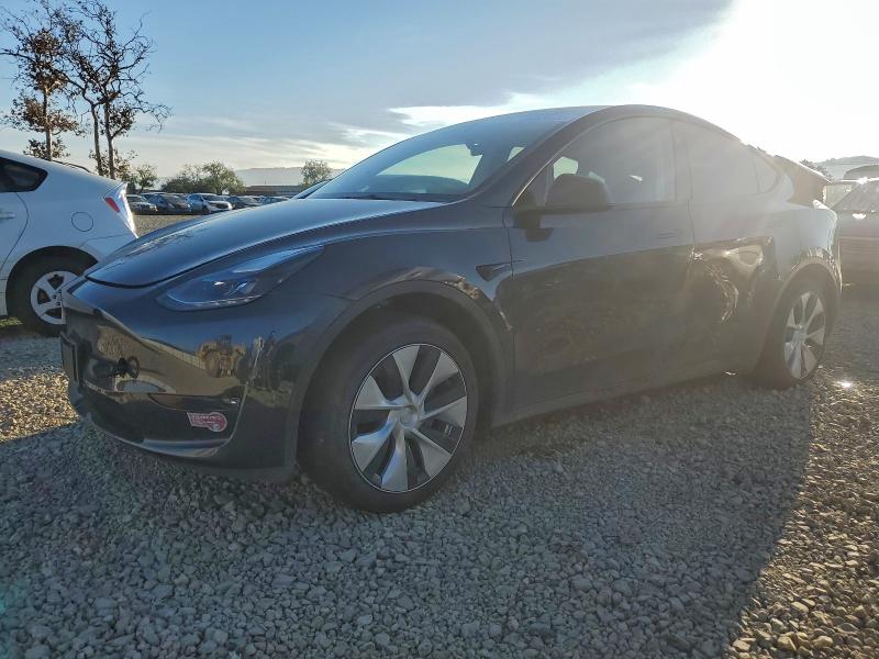 2024 TESLA MODEL Y — VIN 7SAYGDEE1RF025078