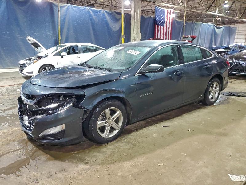 2019 CHEVROLET MALIBU — VIN 1G1ZB5ST5KF179134