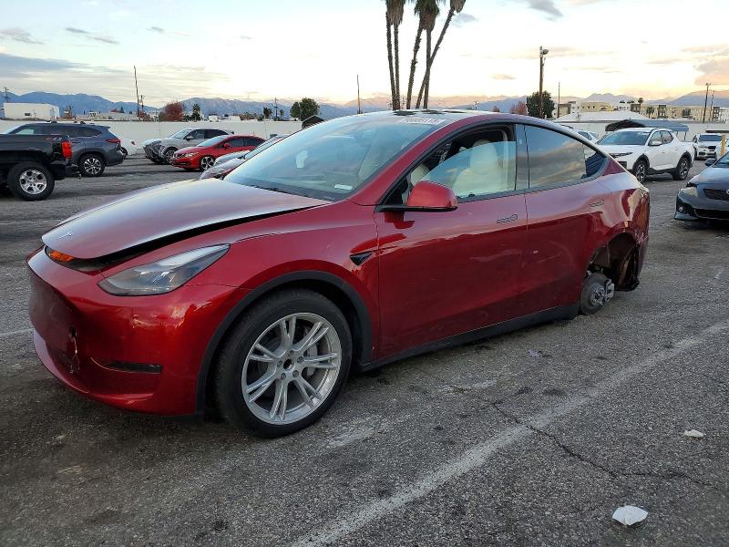 2024 TESLA MODEL Y — VIN 7SAYGDED6RF057614