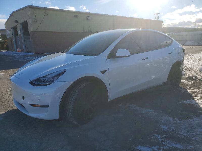 2022 TESLA MODEL Y — VIN 7SAYGDEE2NF356391
