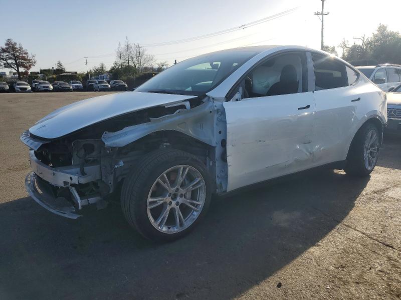 2023 TESLA MODEL Y — VIN 7SAYGDEE8PF746270