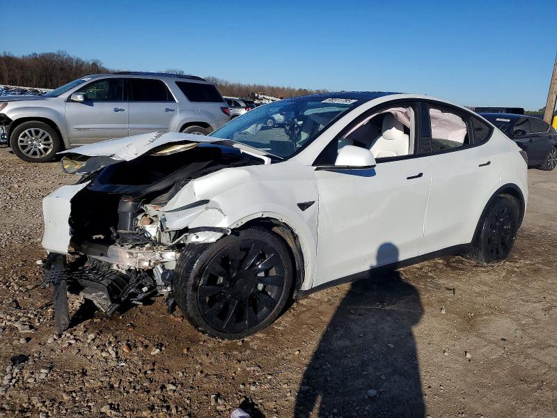 2023 TESLA MODEL Y — VIN 7SAYGAEE8PF661251