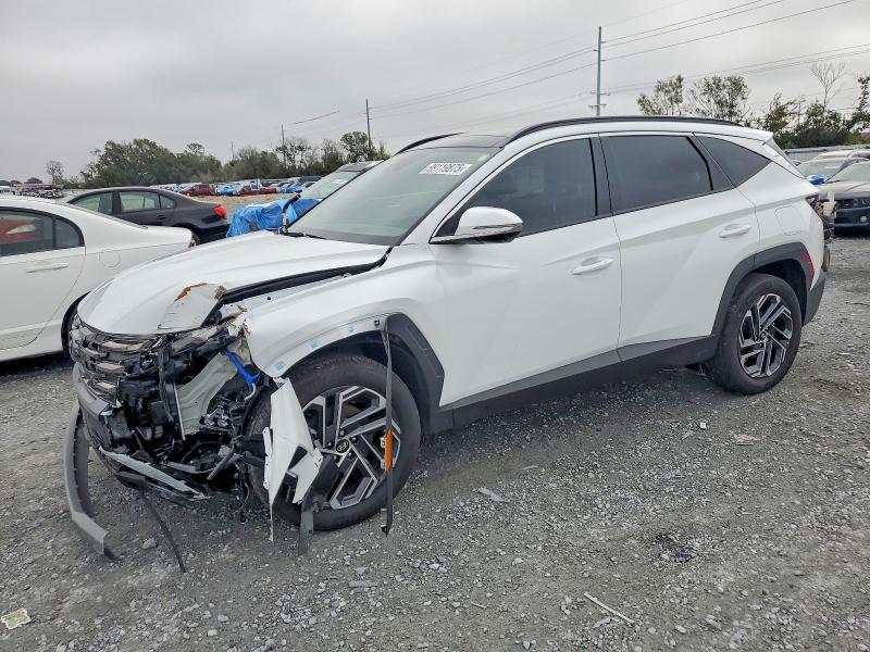 2025 HYUNDAI TUCSON LIM — VIN KM8JEDD19SU258833