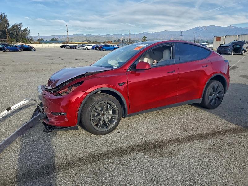 2024 TESLA MODEL Y — VIN 7SAYGDED1RF164960