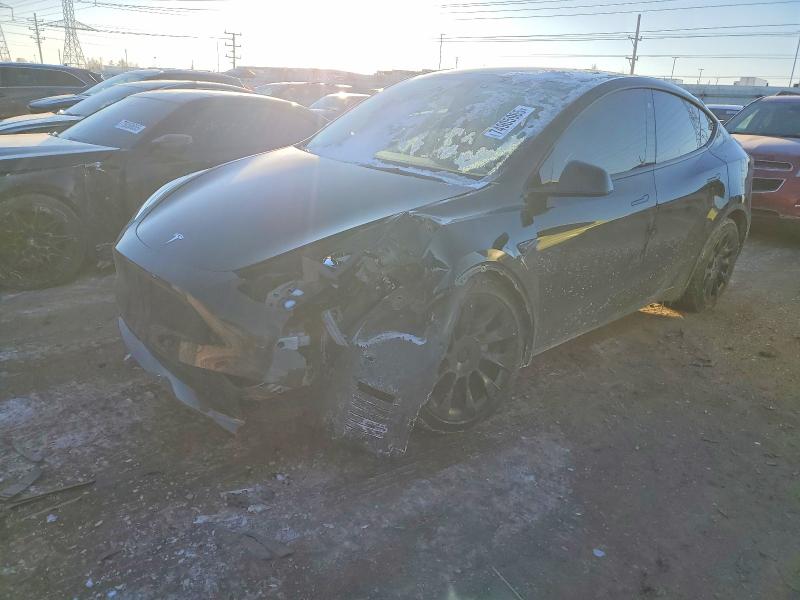 2023 TESLA MODEL Y — VIN 7SAYGDEE5PF778464
