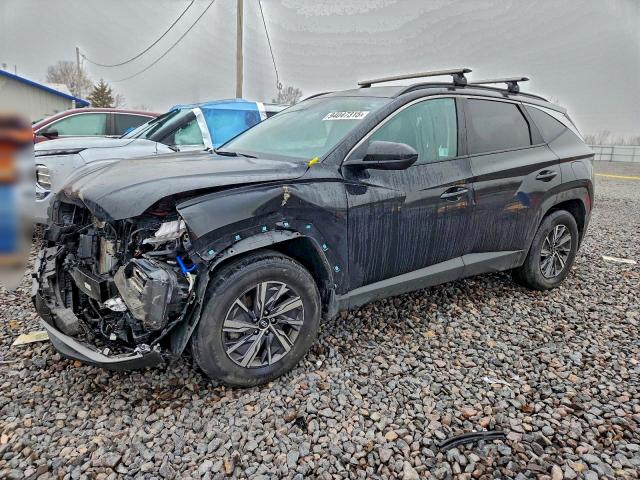 2024 HYUNDAI TUCSON BLU — VIN KM8JBCD14RU210492