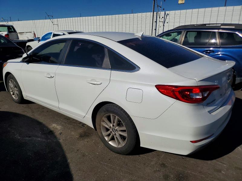 5NPE24AF6FH200466