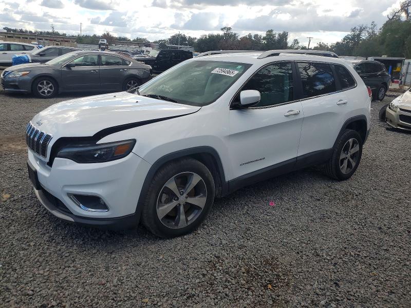 2019 JEEP CHEROKEE — VIN 1C4PJLDB1KD392166