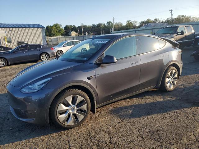 2021 TESLA MODEL Y — VIN 5YJYGDEE7MF281196