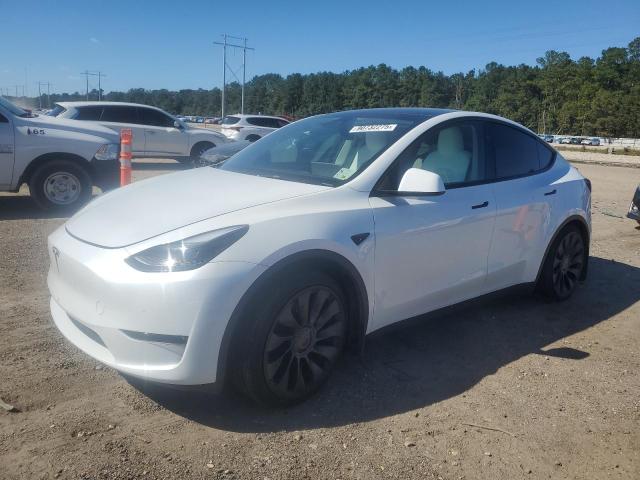 2024 TESLA MODEL Y — VIN 7SAYGDEF8RA319051