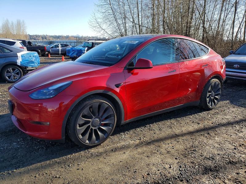 2023 TESLA MODEL Y — VIN 7SAYGDEF9PF814942