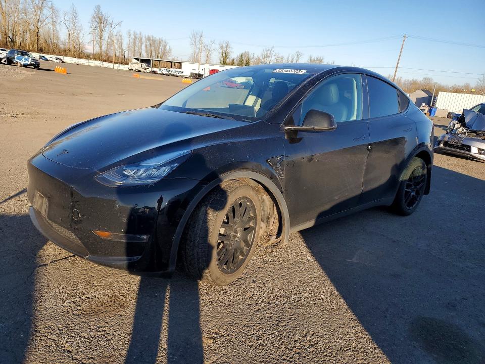 2022 TESLA MODEL Y — VIN 7SAYGDEE3NF504323