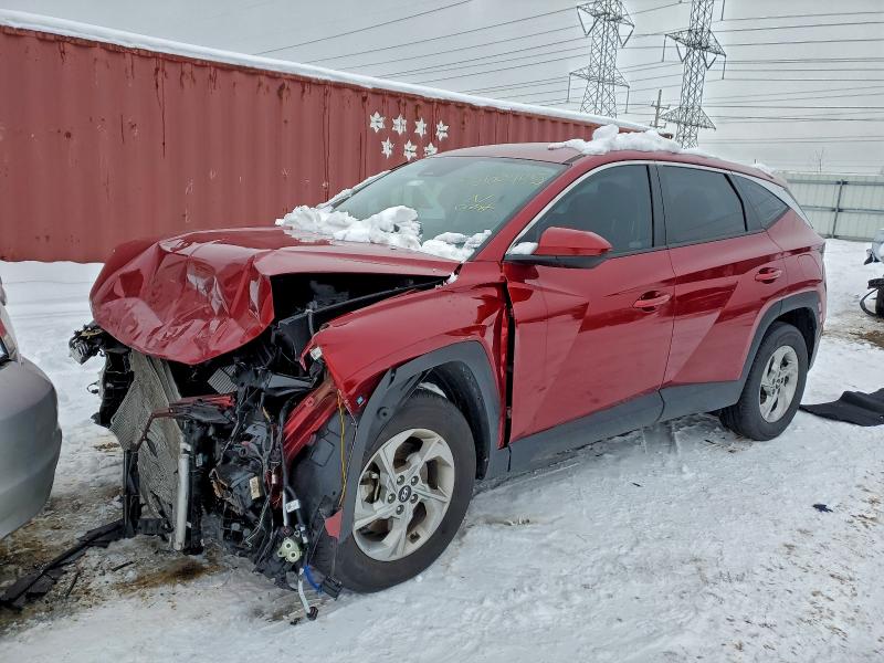 2024 HYUNDAI TUCSON SE — VIN 5NMJACDE9RH407918