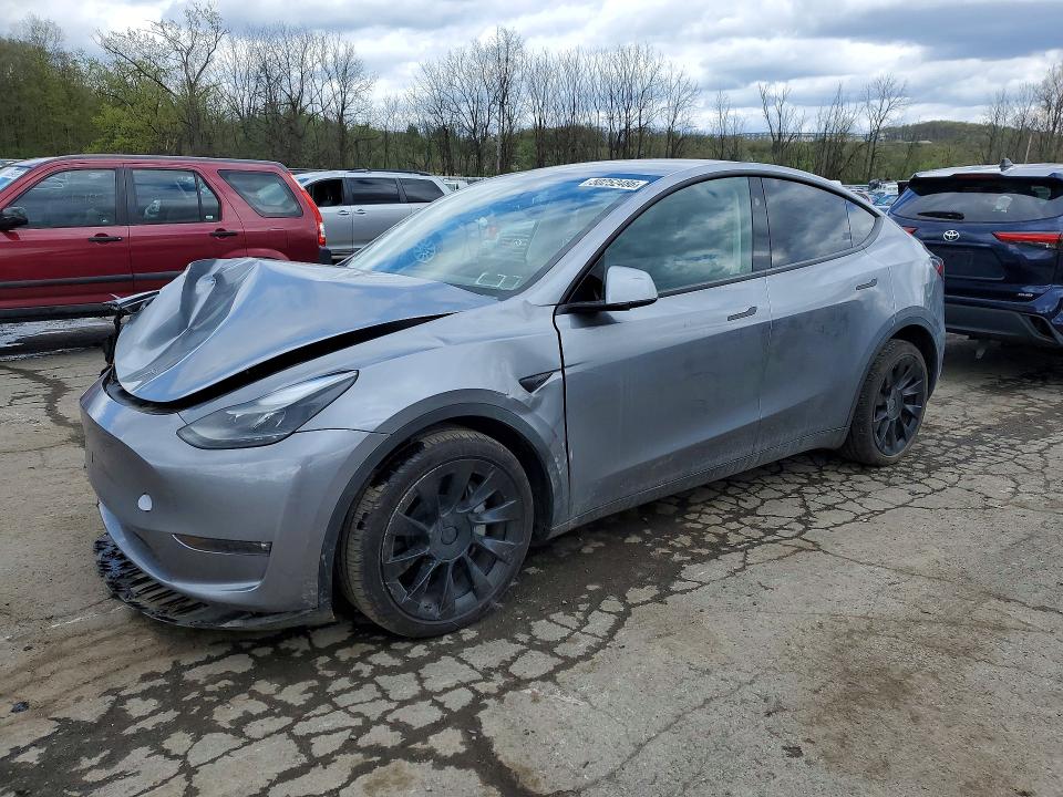 2024 TESLA MODEL Y — VIN 7SAYGAEE3RF098659