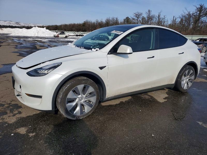 2023 TESLA MODEL Y — VIN 7SAYGDEEXPA116103
