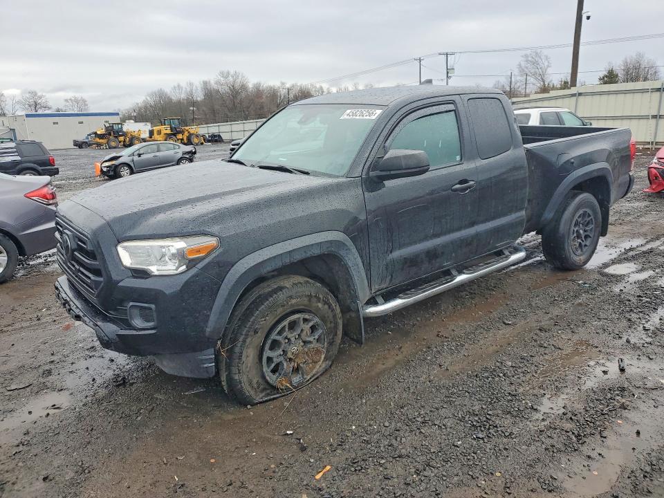 2019 TOYOTA TACOMA — VIN 5TFSZ5AN7KX169013