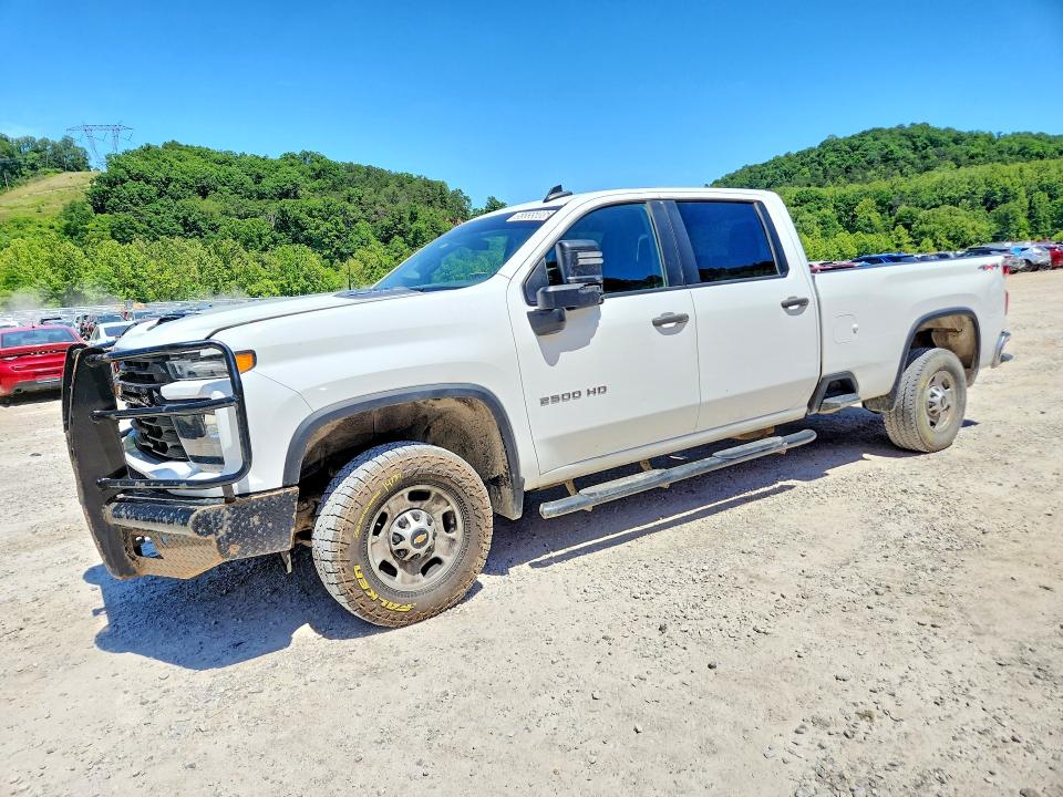 2024 CHEVROLET SILVERADO — VIN 1GC4YLE74RF177551